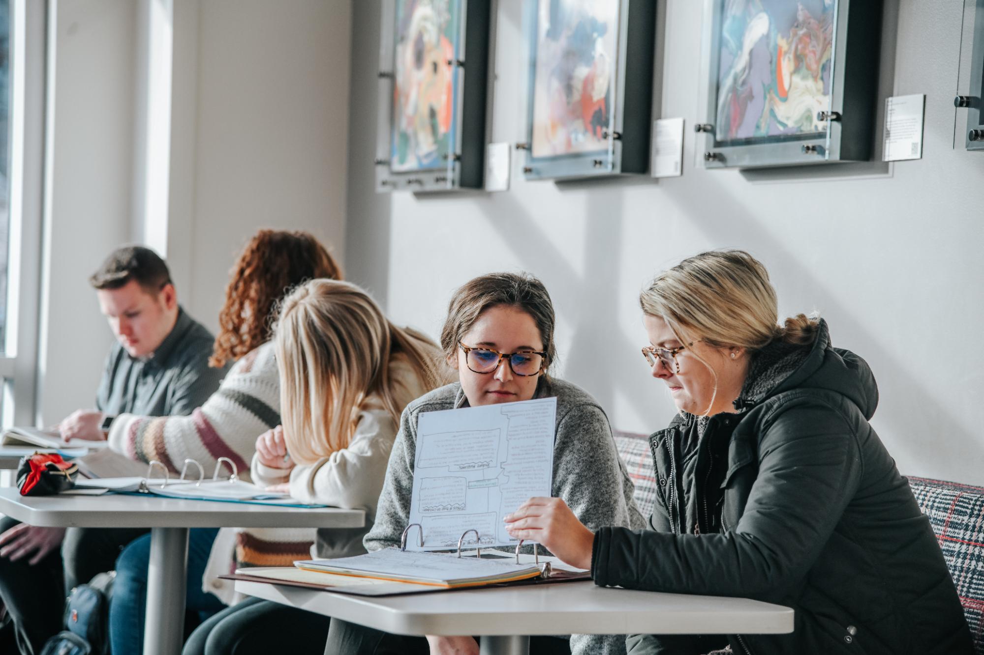 Students studying